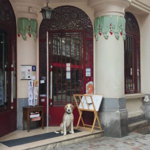 Atelier de Cosette Cartonera 6 rue Massillon Clermont Ferrand edited