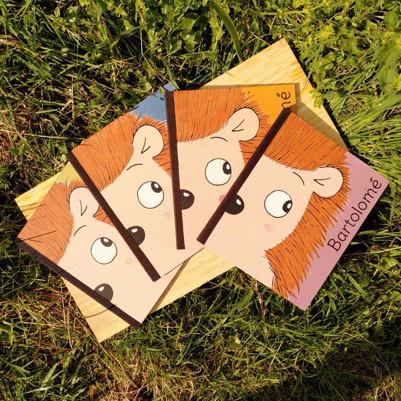 couvertures muticolores bartolome edited